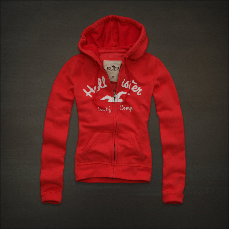 Sweat & Hoody Hollister Femme Pas Cher